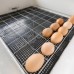 Инкубатор Несушка на 63 яйца (автомат, цифровое табло, 220+12В) арт. 46 2 фото
