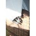 Шезлонг-кровать трансформер из искусственного ротанга Violetta, коричневый 8 фото